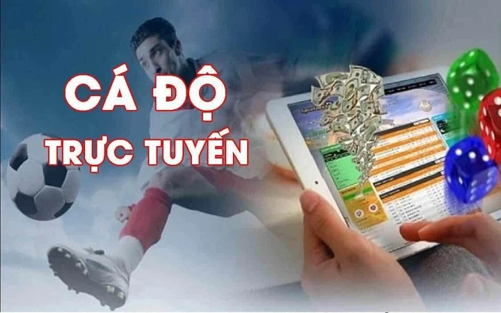 Luật Cá Độ Tại Việt Nam Cập Nhật Mới Nhất Năm 2024 Và Những Quy Định Quan Trọng