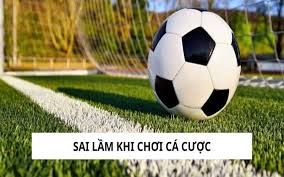Phân Tích Tỷ Lệ Cược Chiến Lược Hiệu Quả Cho Người Mới Bắt Đầu