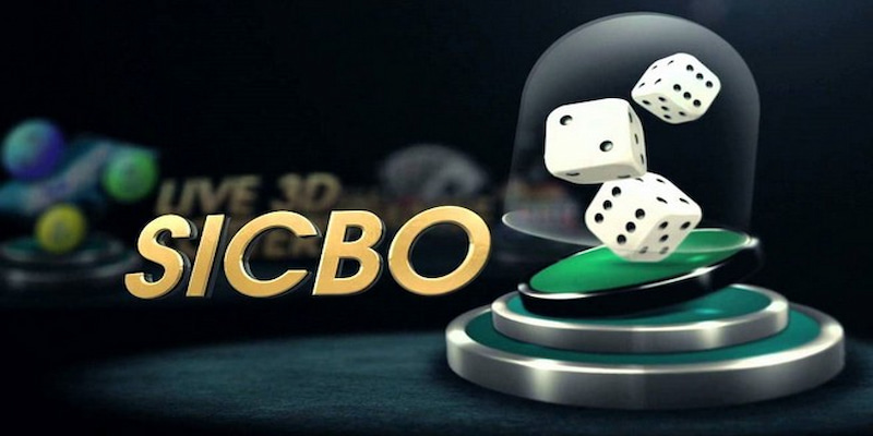 Cách đánh Sicbo cần được người chơi tìm hiểu kỹ càng