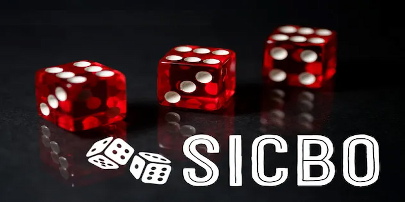 Cách đánh Sicbo có những loại cược nào?