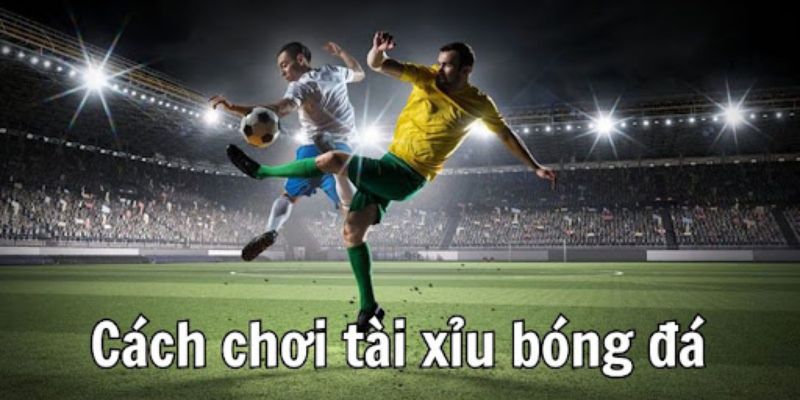 Cách đánh tài xỉu bóng đá luôn thắng
