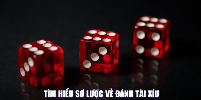 Đánh tài xỉu là gì
