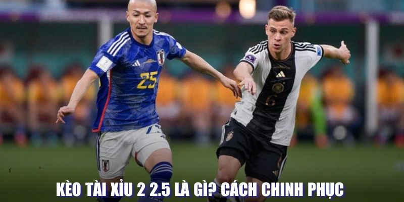 Kèo tài xỉu 2 2.5 là gì 
