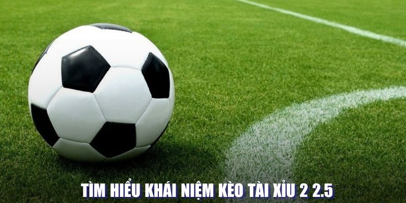 Kèo tài xỉu 2 2.5 là gì 